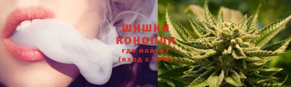 ПСИЛОЦИБИНОВЫЕ ГРИБЫ Белокуриха