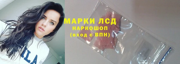 ПСИЛОЦИБИНОВЫЕ ГРИБЫ Белокуриха