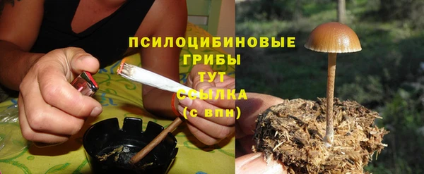 винт Беломорск