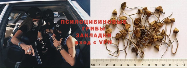 ECSTASY Белоозёрский