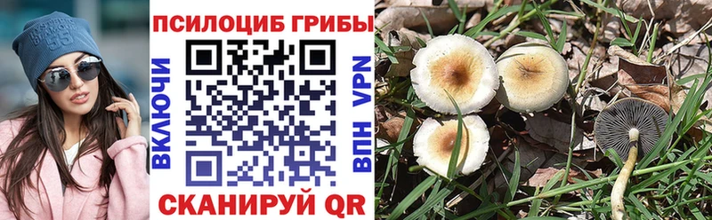 Псилоцибиновые грибы Magic Shrooms  Белоярский 